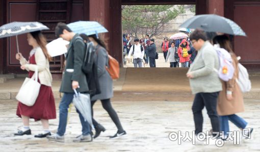 [포토]봄비 관광