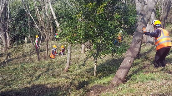 장흥 예양공원, 힐링 숲으로 ‘봄맞이 대변신’