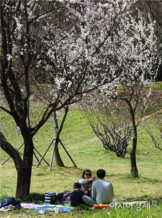[포토]도심속 봄나들이 즐기는 시민들