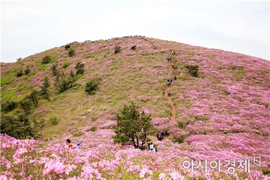 보성군, 내달 6일 제16회 일림산 철쭉문화행사 개막