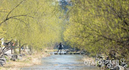 [포토]'푸르른 봄이 왔다'
