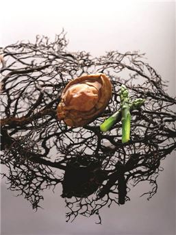 크리스탈 제이드, 미쉐린 원스타 셰프 초청 갈라디너 연다