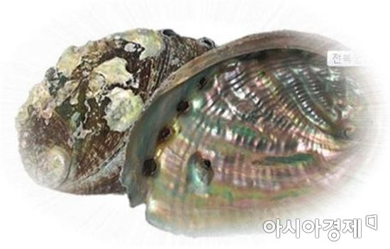 완도군,전복껍데기 활용한 관광기념품 공모전 개최