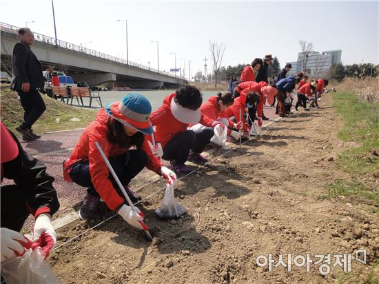 광주시 광산구 첨단2동 주민 꽃단지 조성 ‘눈길’