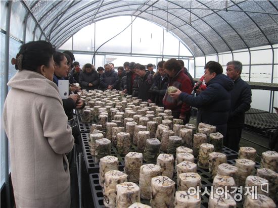 산림조합 “고품질 국내산 목이버섯 재배교육 실시”