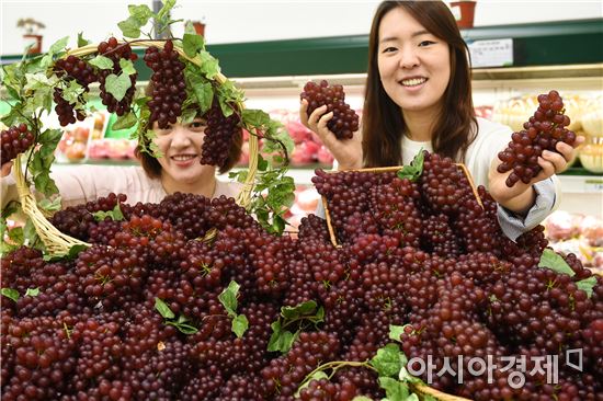 농협유통, 올해 첫 출하된 델라웨어 포도 판매