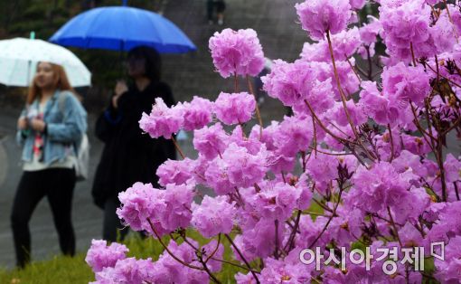 [포토]봄기운 가득한 4월