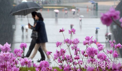 완연한 봄…동해안엔 강풍 예보