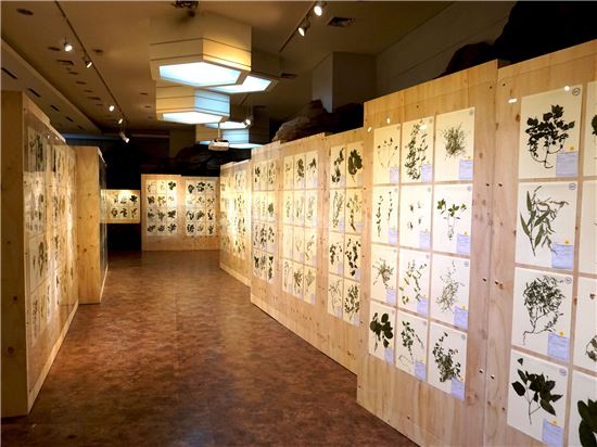 서대문자연사박물관 ‘안산(鞍山) 식물 특별전’  