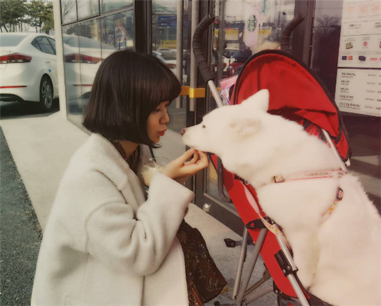 ‘남호연과 열애’ 구혜리, 카페 앞에서 만난 강아지와 행복한 한때