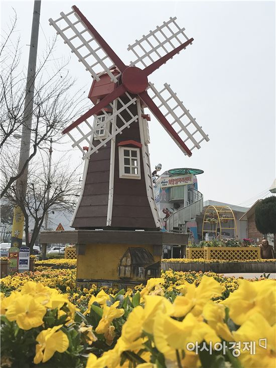 장성 ‘빈센트의 봄’에서 ‘색다른 봄’을 즐기세요
