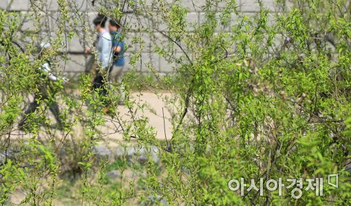 [포토]산책하기 좋은 날