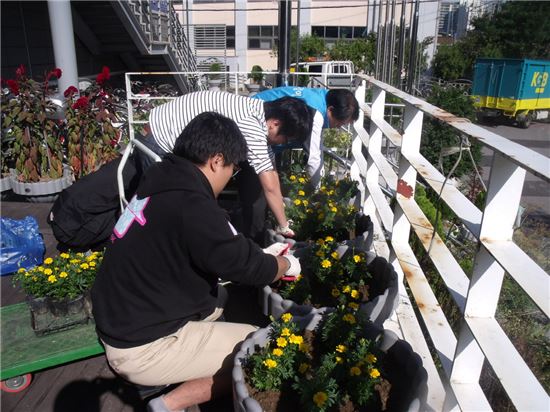 광진구, 상습무단투기지역 50여 개소에 꽃묘 배부