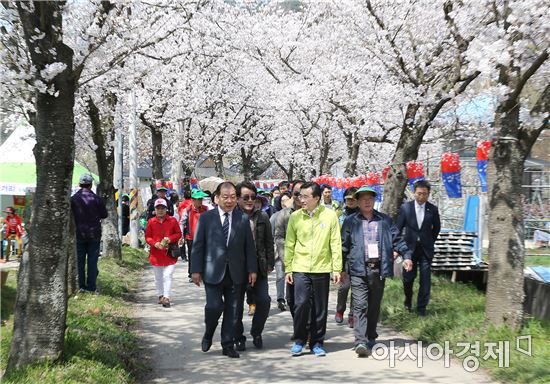 [포토]광주 동구, 너릿재 옛길 벚꽃축제 ‘성황’