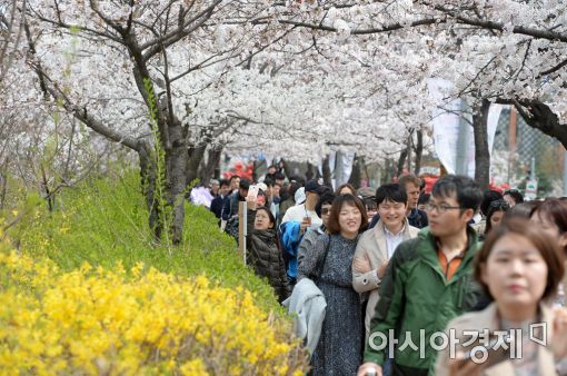 [포토]'봄을 만끽하다'