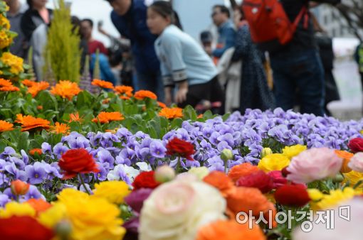 [포토]2017 여의도 봄꽃축제