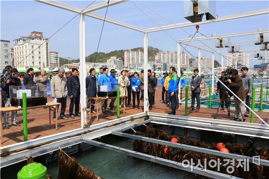 2017 완도국제해조류박람회 미디어데이 개최