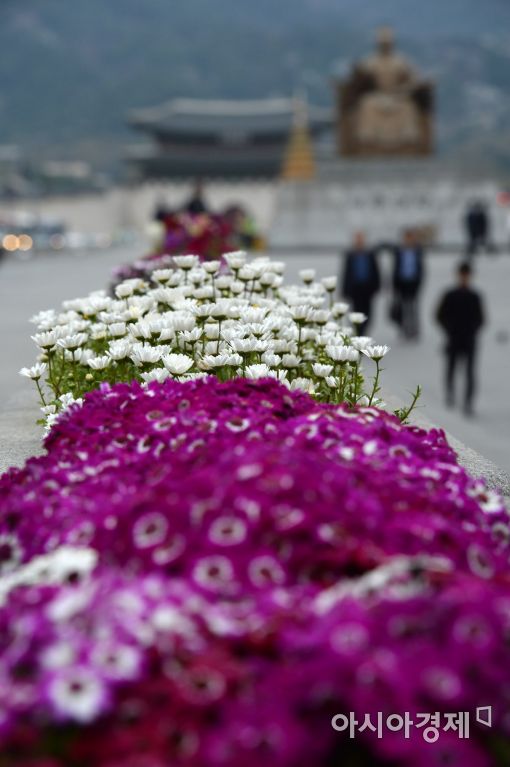 [포토]광장에 찾아온 봄