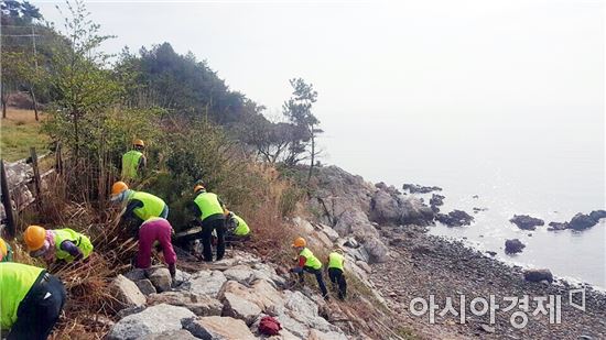 장흥군, “해안선 따라 천년 가로수길 가꾼다”