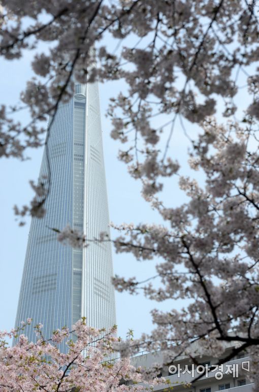 [포토]벚꽃 사이 롯데월드타워