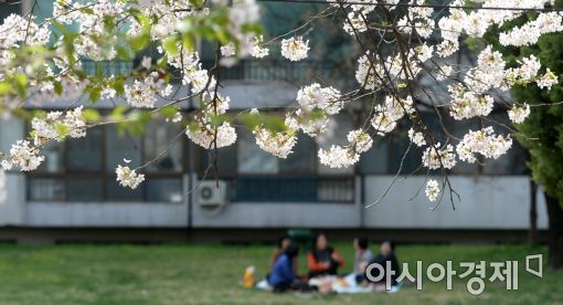 [포토]봄날 힐링