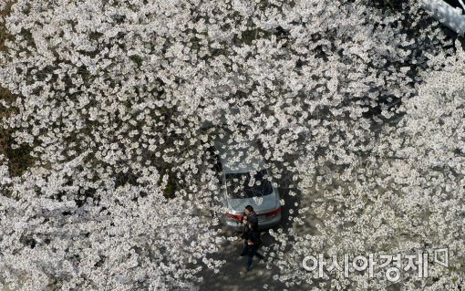 [포토]설레는 봄 
