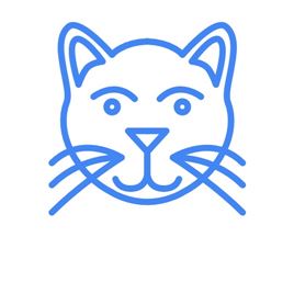 다만 이용자가 그린 그림을 토대로 다양한 이미지가 제시된다. 강아지를 그렸더니 부엉이와 함께 제시된 고양이 이미지.