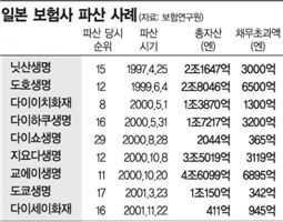 [보험, 자본확충의 비밀]20年前 일본 전철 밟을까