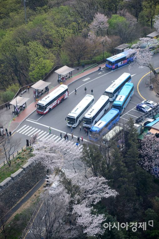 [포토]'벚꽃엔딩은 남산에서'