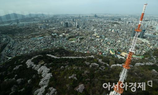 [포토]'올해 벚꽃엔딩은 남산에서'