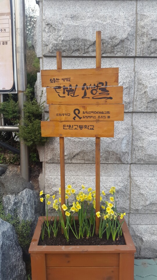 13일 경기 안산 단원고 정문 옆에 노란 꽃이 피어 있다. 