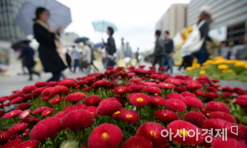 [포토]봄비가 내린다
