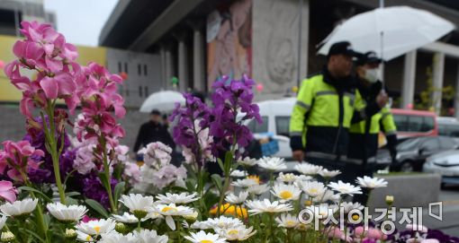 [포토]'봄비가 내린다'