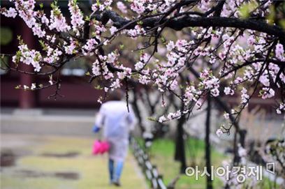 [오늘 날씨] 전국 차차 맑아짐…충청·제주 오전에 비