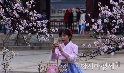 [포토]가는 봄이 아쉬워 '찰칵'