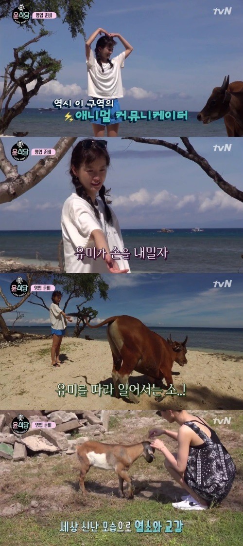 사진=tvN 예능프로그램 ‘윤식당’


