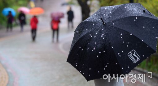 [포토]벚꽃 시샘하는 봄비