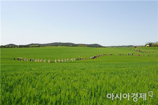 '눈부신 초록빛' 제14회 고창 청보리밭축제, 22일 개막