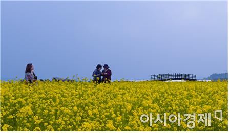 [오늘날씨] 23일 전국 완연한 봄날씨 '낮 최고기온 24도'