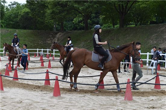 승마 배우기 