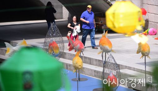 [포토]청계천에 설치된 연등