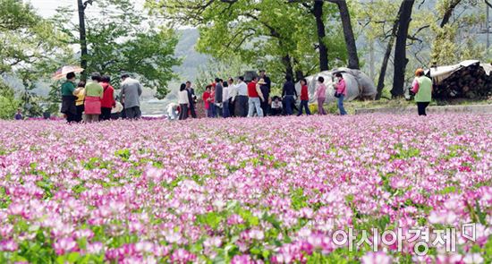 곡성군 경관보전 직불금 신청농가 이행점검 실시