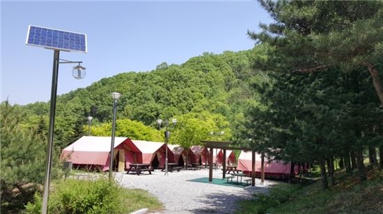 경기도청소년야영장 어린이날 야영시설 무료개방