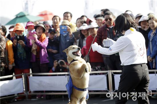 '현대판 모세의 기적' 진도 신비의 바닷길 축제 개막…29일까지 열려
