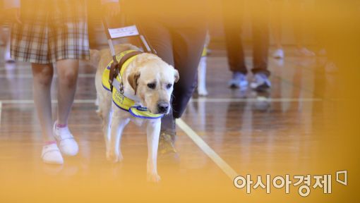 [포토]'믿고 따라오세요'