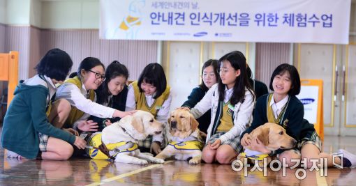 [포토]'안내견은 벗이자 빛'