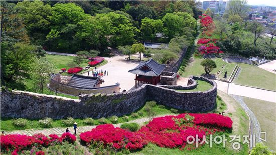 눈부신 고창읍성의 봄, 성곽 따라 붉디붉은 철쭉 물결