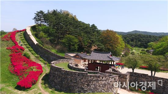 눈부신 고창읍성의 봄, 성곽 따라 붉디붉은 철쭉 물결