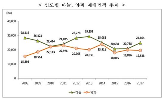 마늘값 급등에 재배면적 20%↑…양파는 1.8%↓