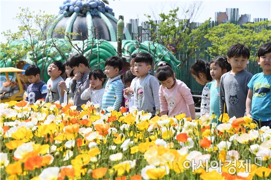  27일 전남 함평군 함평읍 함평엑스포공원에 봄소풍을 나온 아이들이 나비를 쫓아 양귀비꽃밭에서 즐겁게  놀고있다. 노해섭 기자 nogary@
